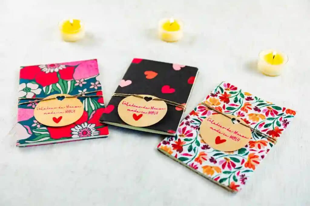 Carnets de L’atelier de Manon inclus dans une box Plénisia
