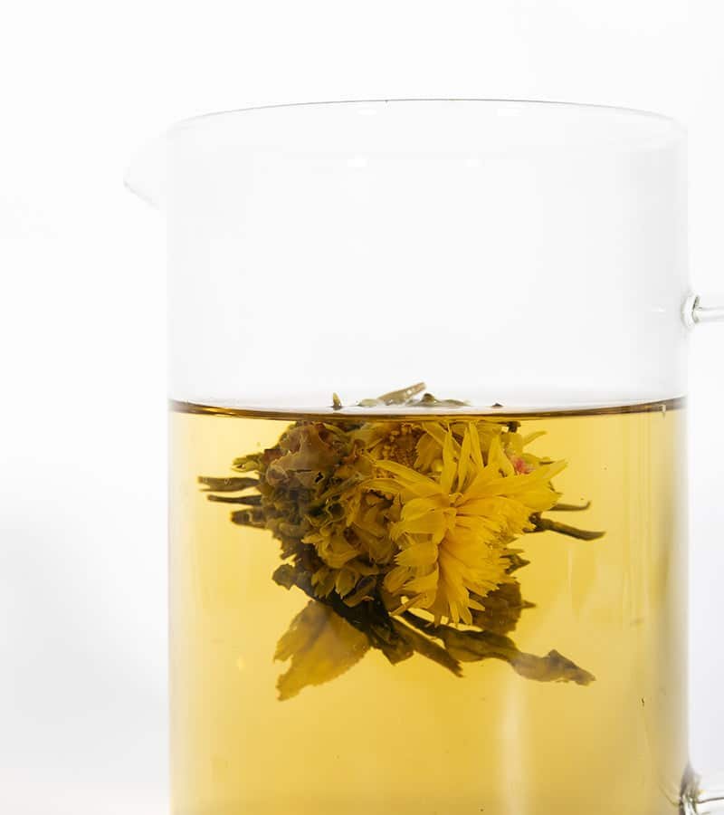 Fleur de thé qui s'ouvre dans une théière en verre, coffret L'Avant Gardiste
