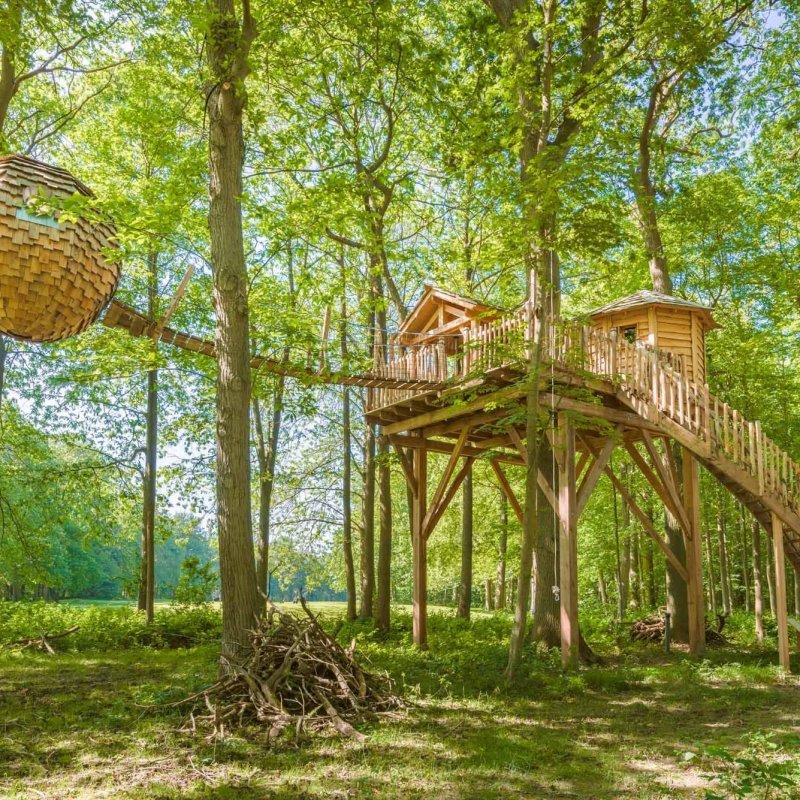 Cabane dans les arbres