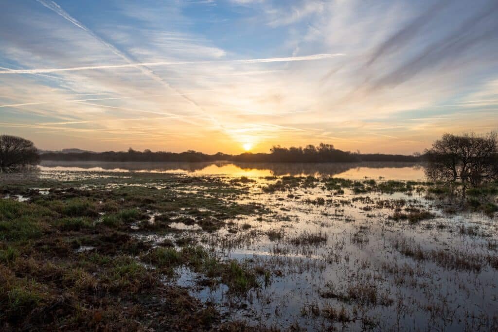 Lac de Grand-Lieu au coucher du soleil