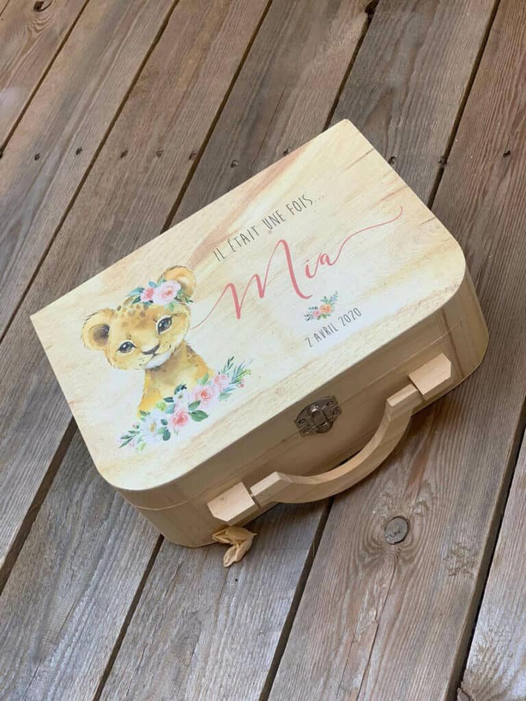 Box Petite Lionne Nala, intérieur