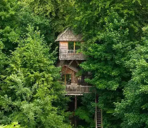 Hutte sur pilotis dans les arbres