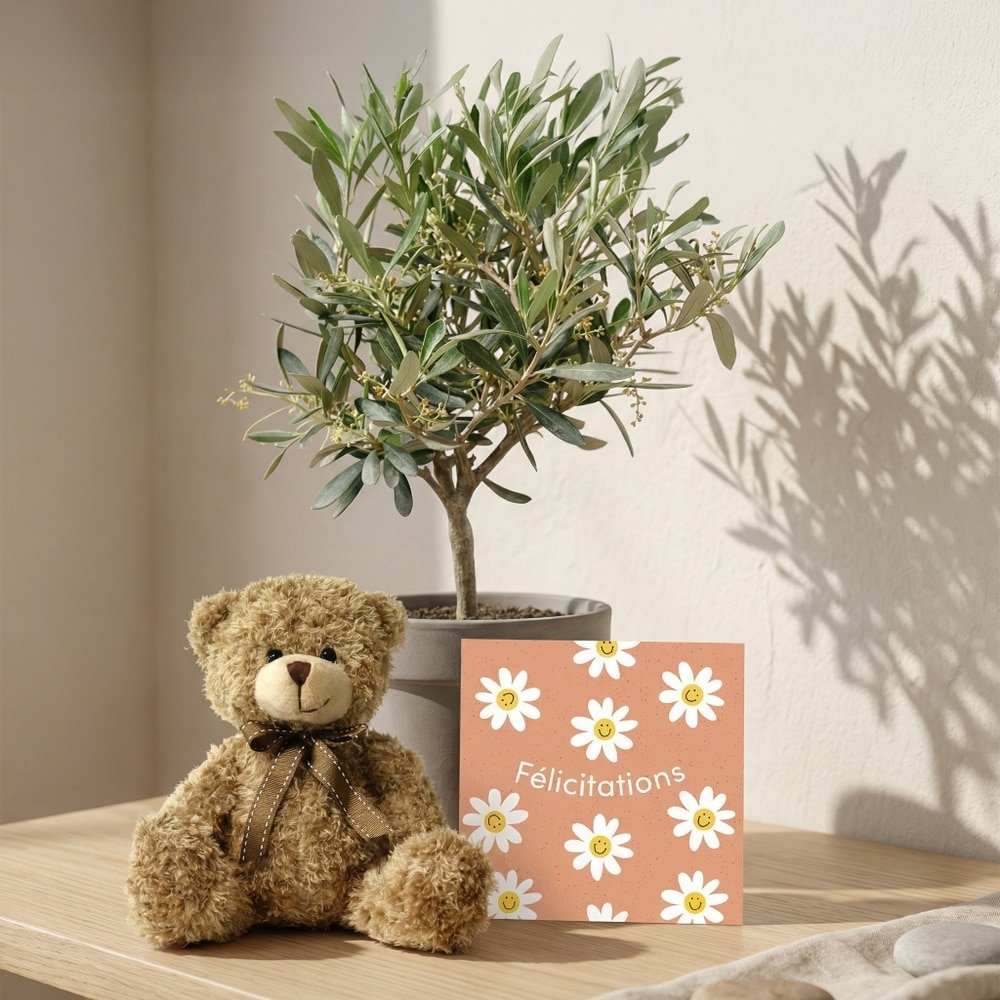 Coffret naissance plante
