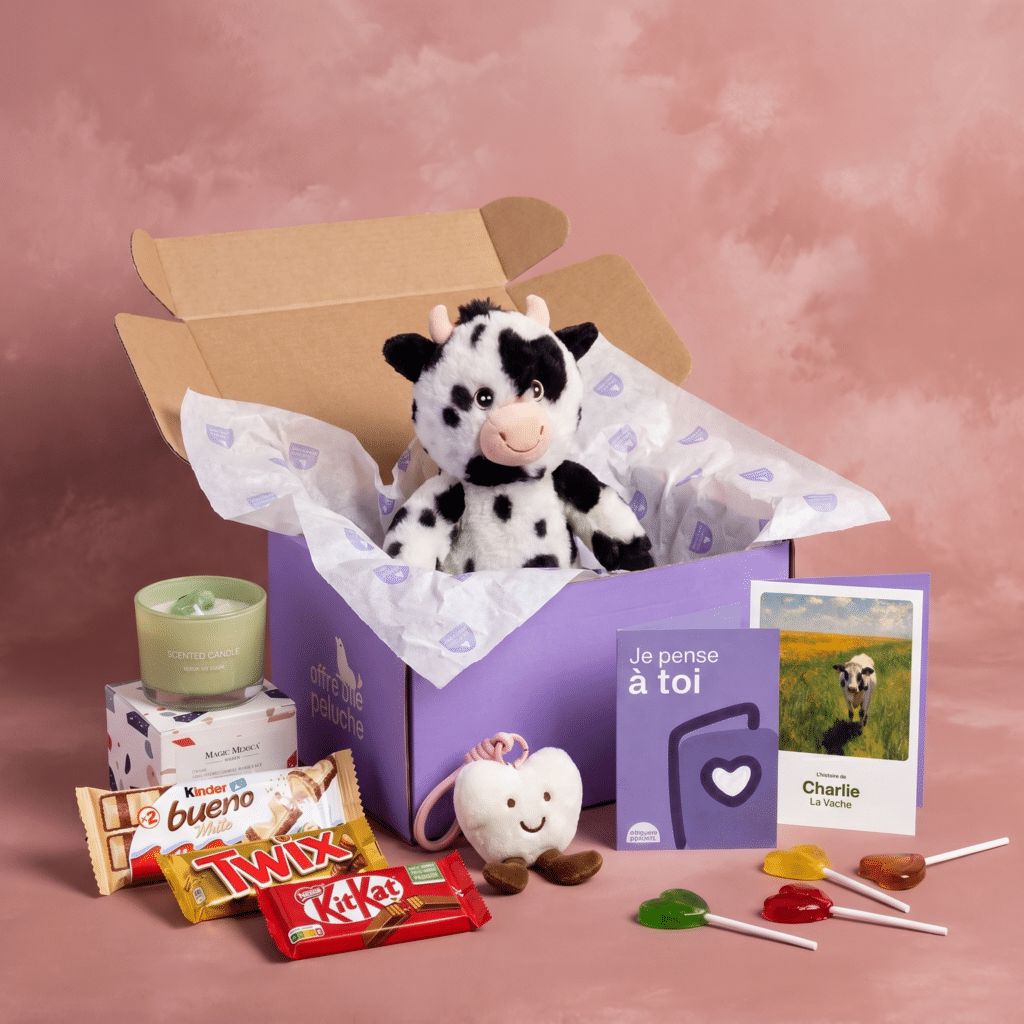 Box cadeau Offre une Peluche avec vache en peluche et douceurs