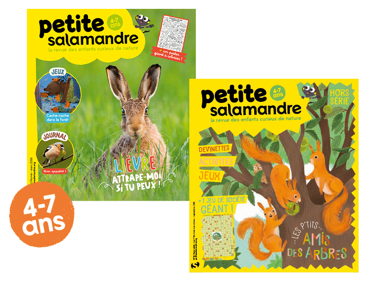 Numéros de la Petite Salamandre pour les 4-7 ans