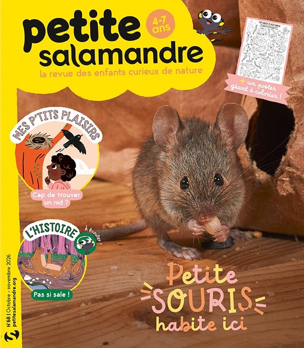 Couverture de la Petite Salamandre n°68 « Petite souris habite ici »