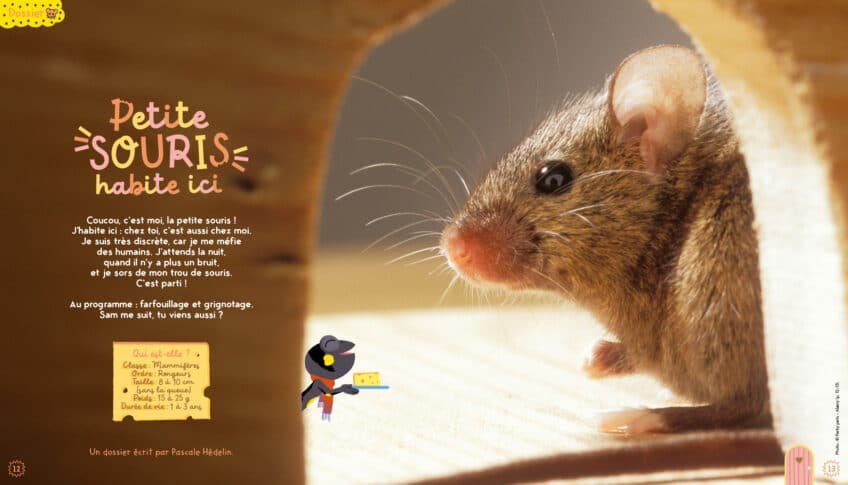 Le dossier de la Petite Salamandre sur la souris
