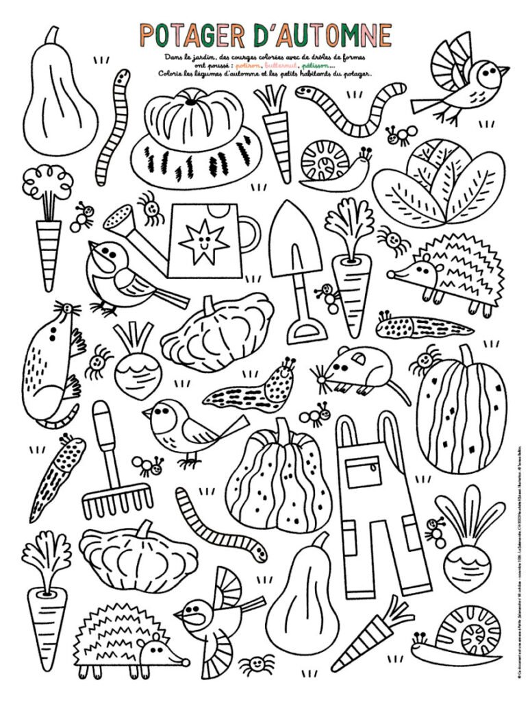 Poster à colorier de la Petite Salamandre