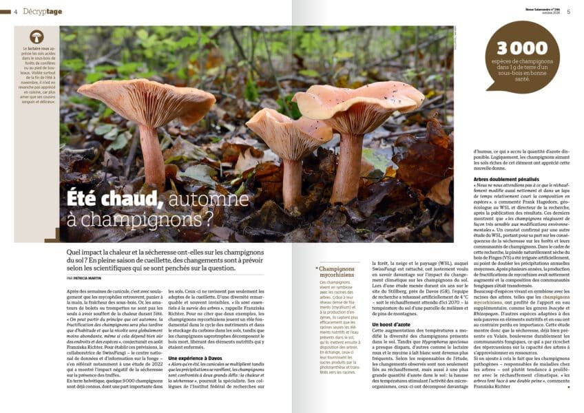 Double page de la Revue Salamandre sur les champignons