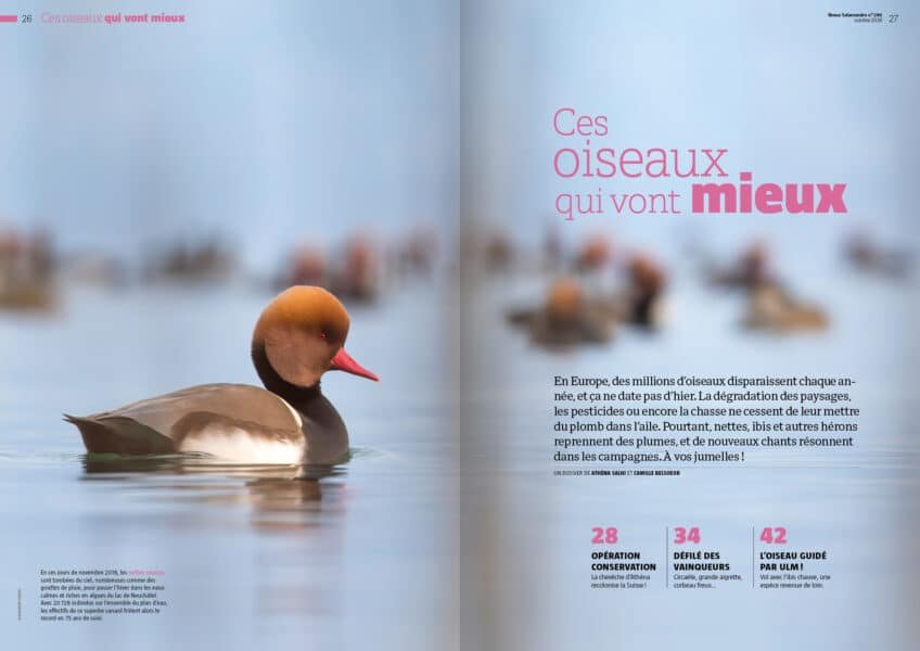 Double page de la Revue Salamandre sur les oiseaux d’eau