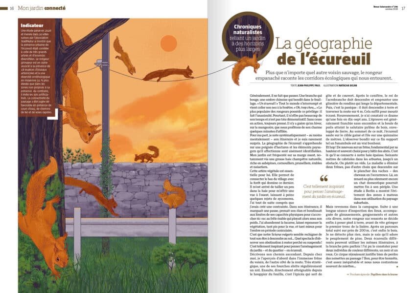 Double page de la Revue Salamandre sur l’écureuil