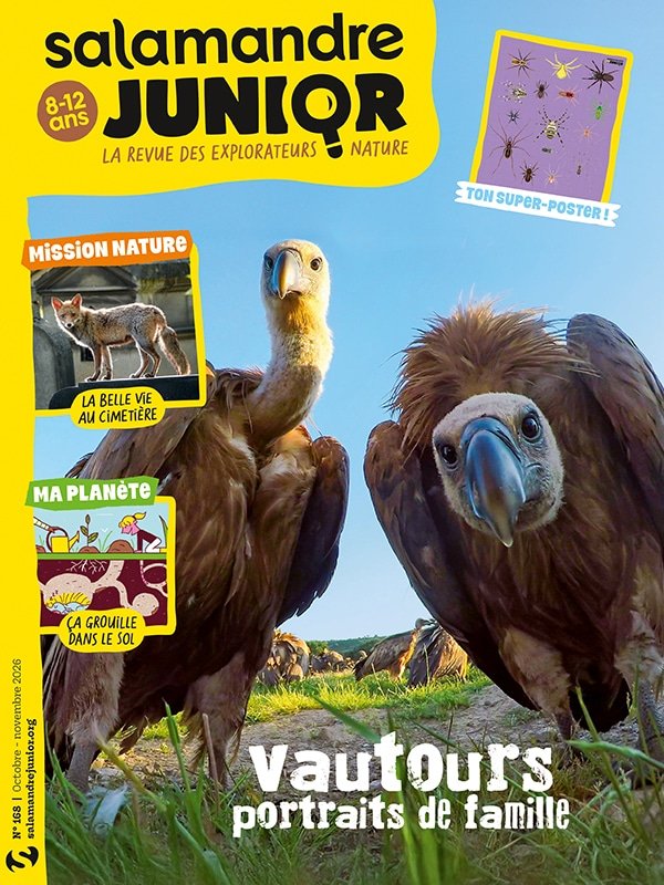 Couverture de la Salamandre Junior n°168 « Vautours, portraits de famille »