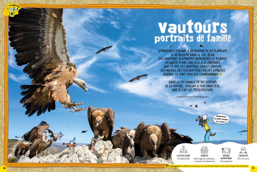 Le dossier de la Salamandre Junior sur les vautours
