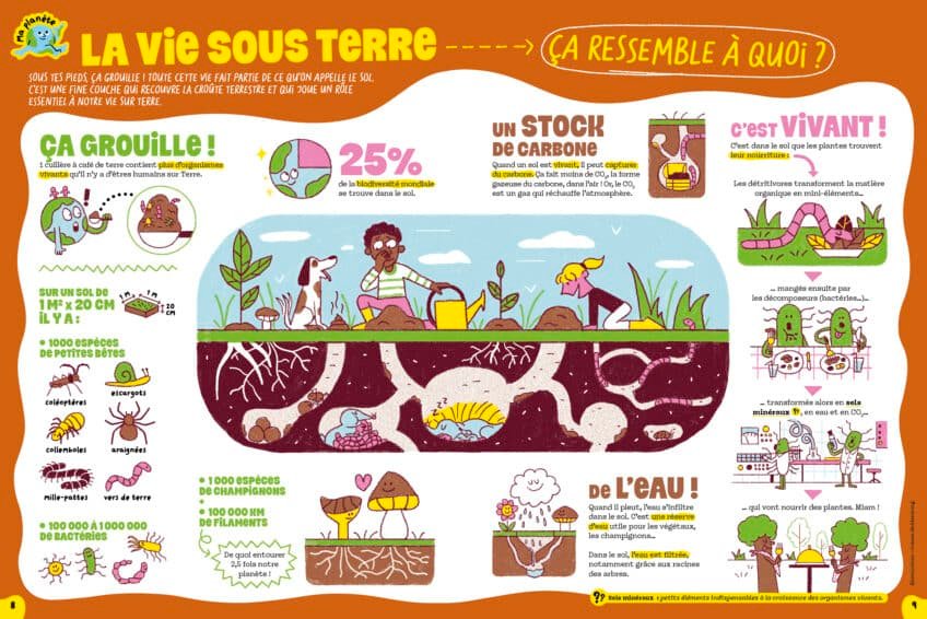 Infographie de la Salamandre Junior sur la vie sous terre